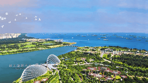 DB电竞(DBGame)官方网站