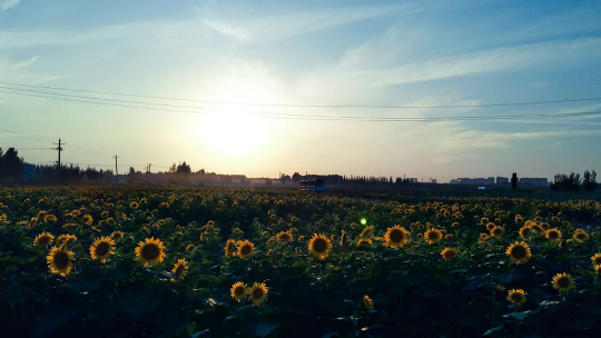 DB�羺(DBGame)�ٷ���վ