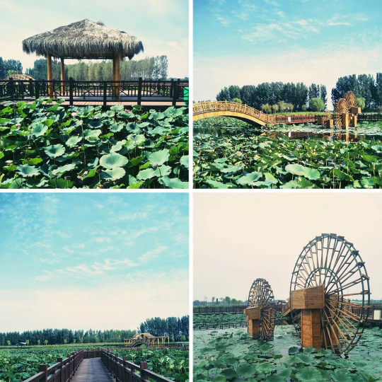 DB�羺(DBGame)�ٷ���վ