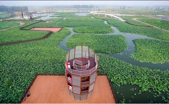 DB�羺(DBGame)�ٷ���վ