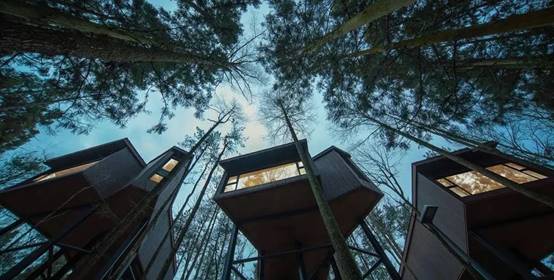 DBµç¾º(DBGame)¹Ù·½ÍøÕ¾