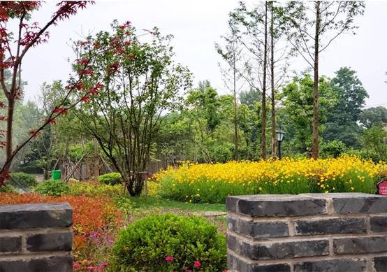 DBµç¾º(DBGame)¹Ù·½ÍøÕ¾