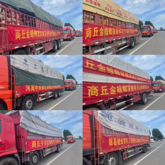 DB�羺(DBGame)�ٷ���վ